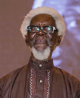 Architect Demas Nwoko